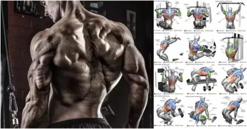 Top 10 The Best Muscle-Building Back Exercises!